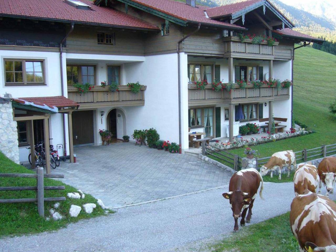 Haus Eicher شنآيزلرويت المظهر الخارجي الصورة